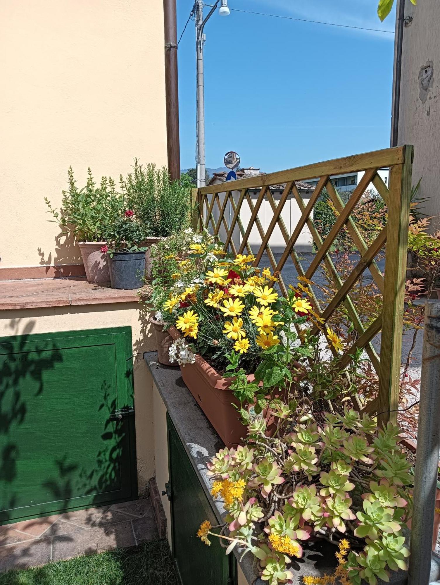 Casa Vacanze Rustico Di Corte 카판노리 외부 사진