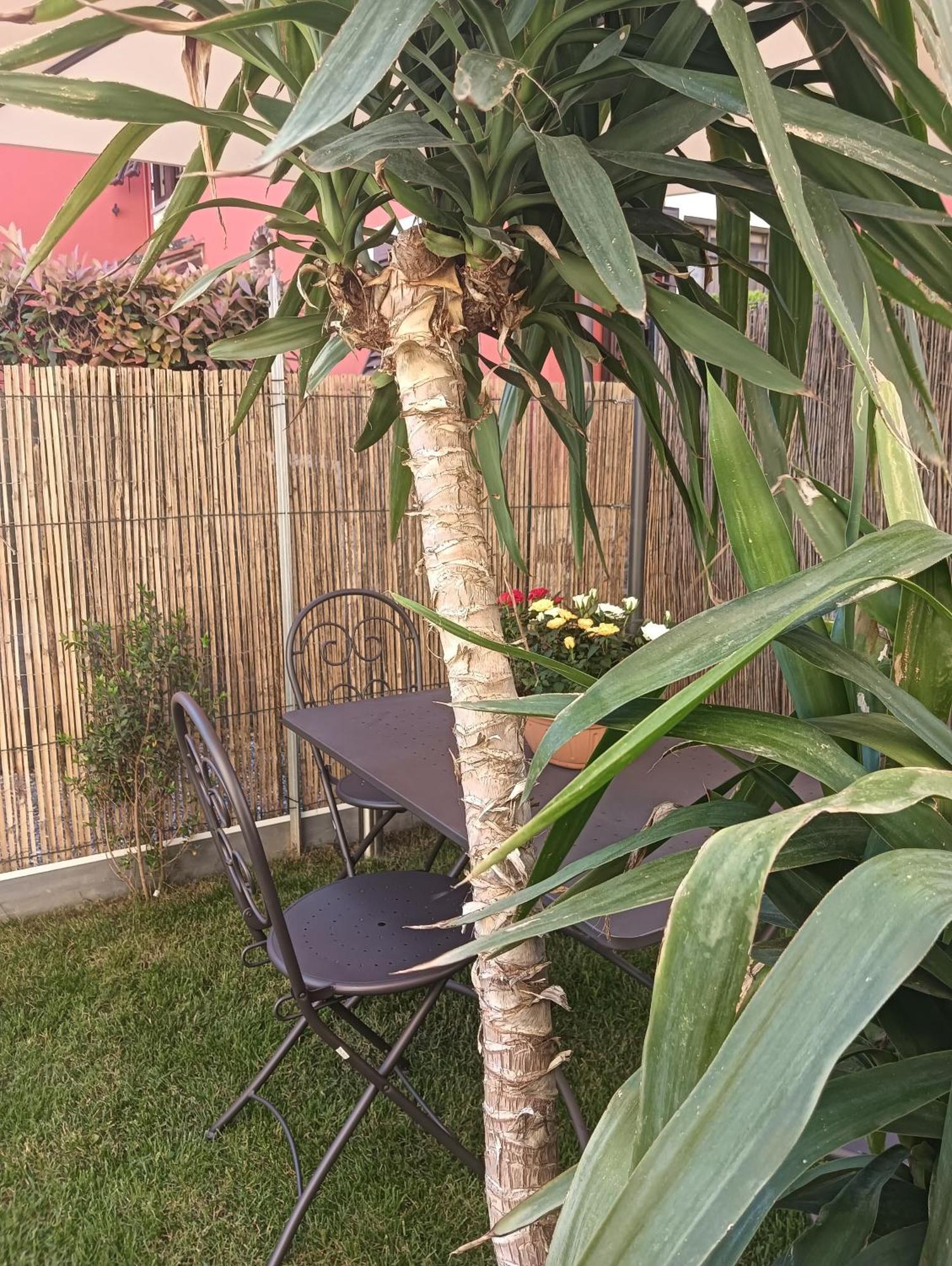 Casa Vacanze Rustico Di Corte 카판노리 외부 사진